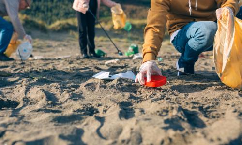 Beach and Shoreline Cleanups