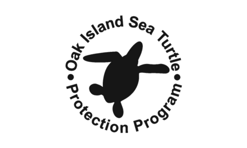 Oak Island Sea Turtle Oak Island Sea Turtle Protection Program