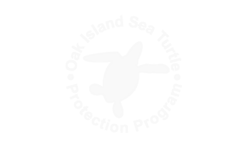 Oak Island Sea Turtle Protection Program