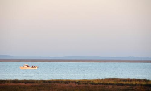 Water Quality Protection