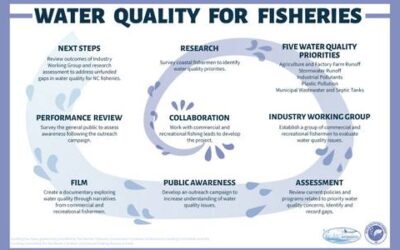 Quality Water Is Essential