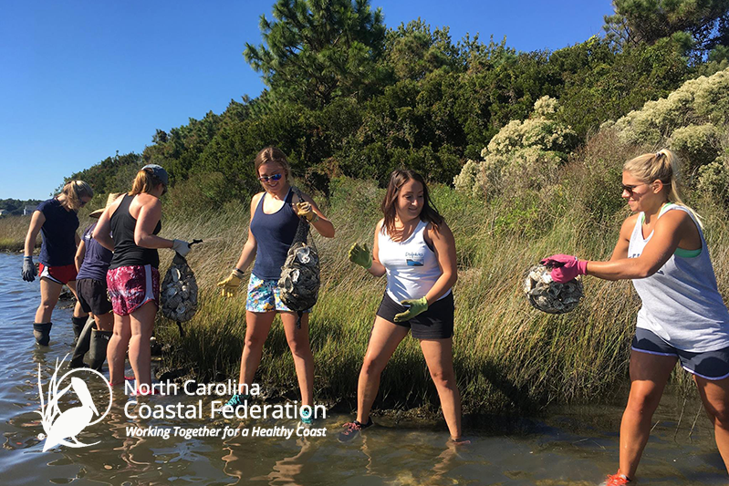 NCCF Cleanup